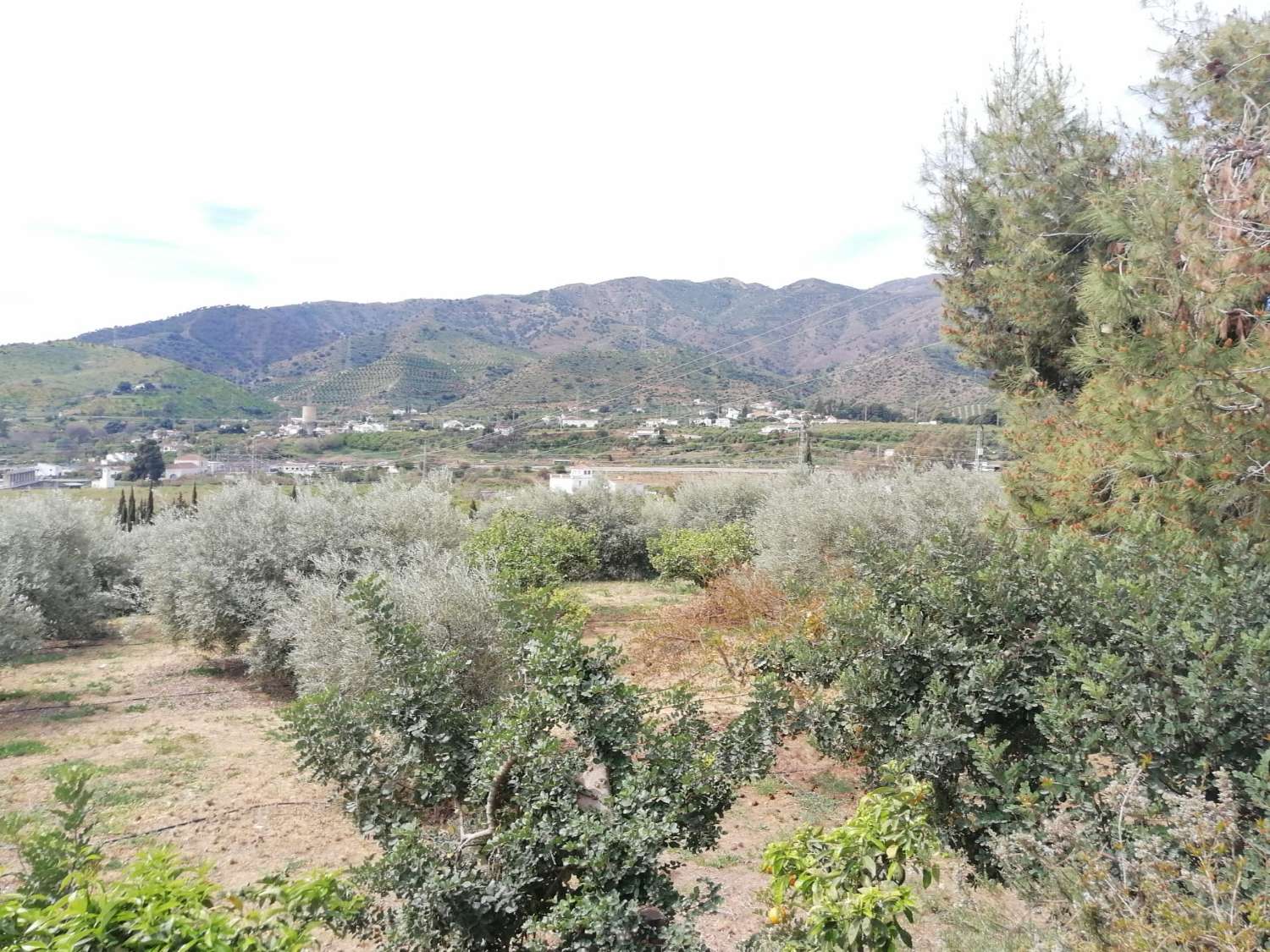 Coqueta Finca con maravillosas Vistas