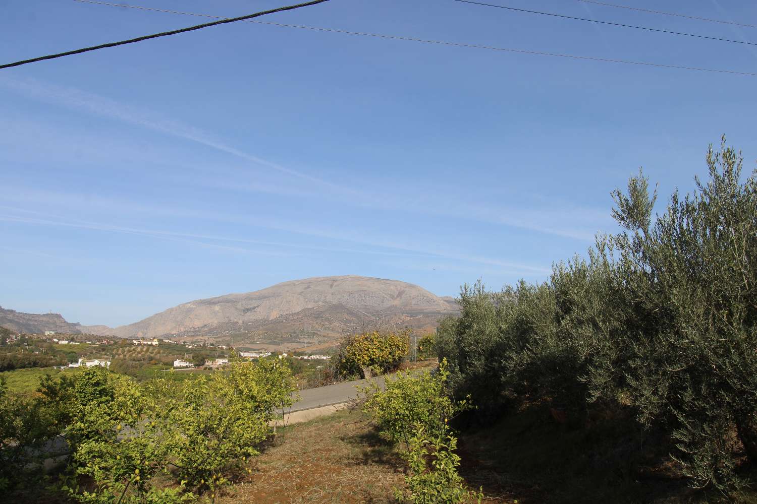 Coqueta Finca con maravillosas Vistas