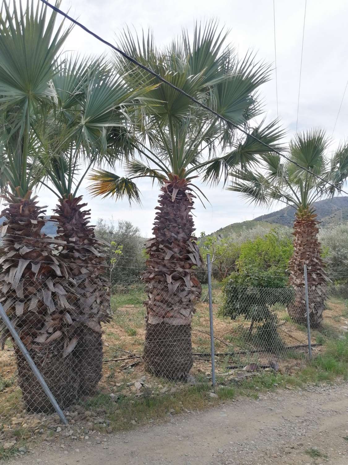 Coqueta Finca con maravillosas Vistas