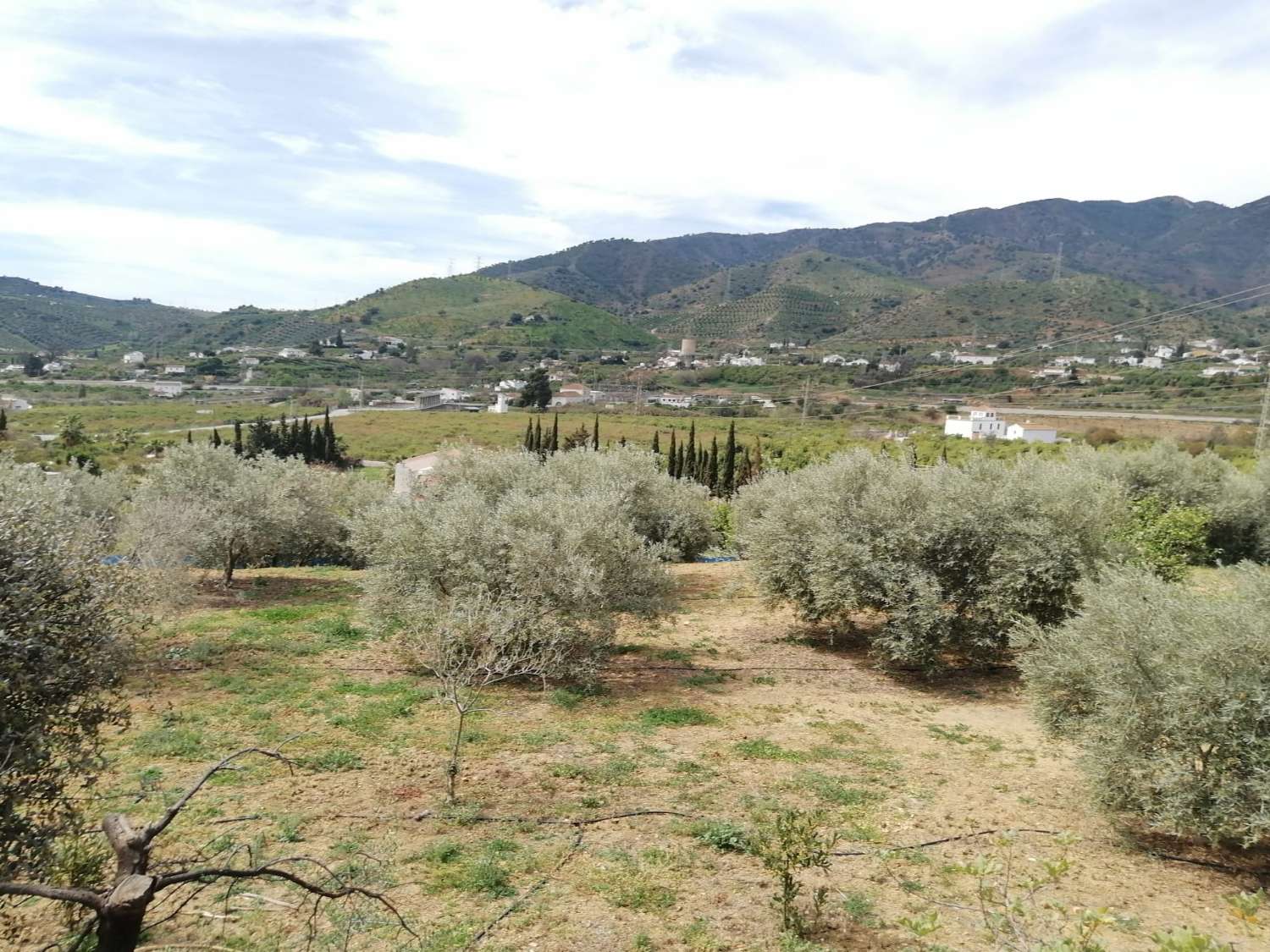 Finca confortable avec des vues magnifiques