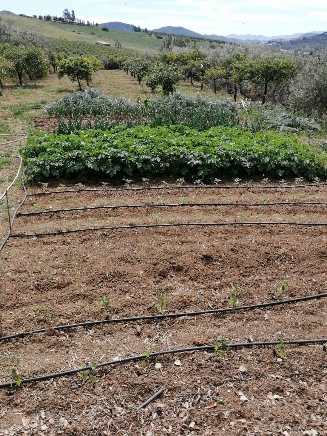 Coqueta Finca con maravillosas Vistas