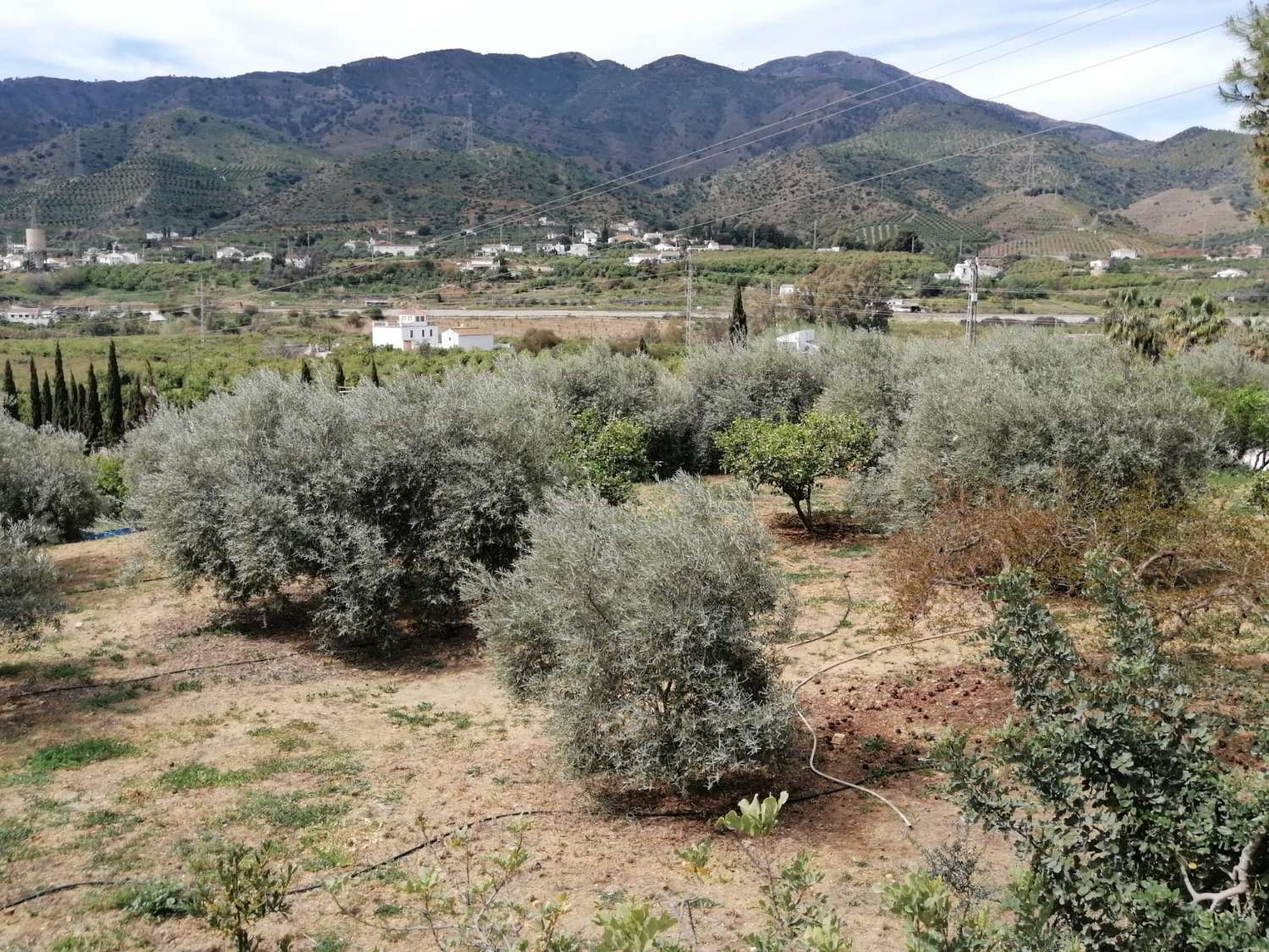 Finca confortable avec des vues magnifiques