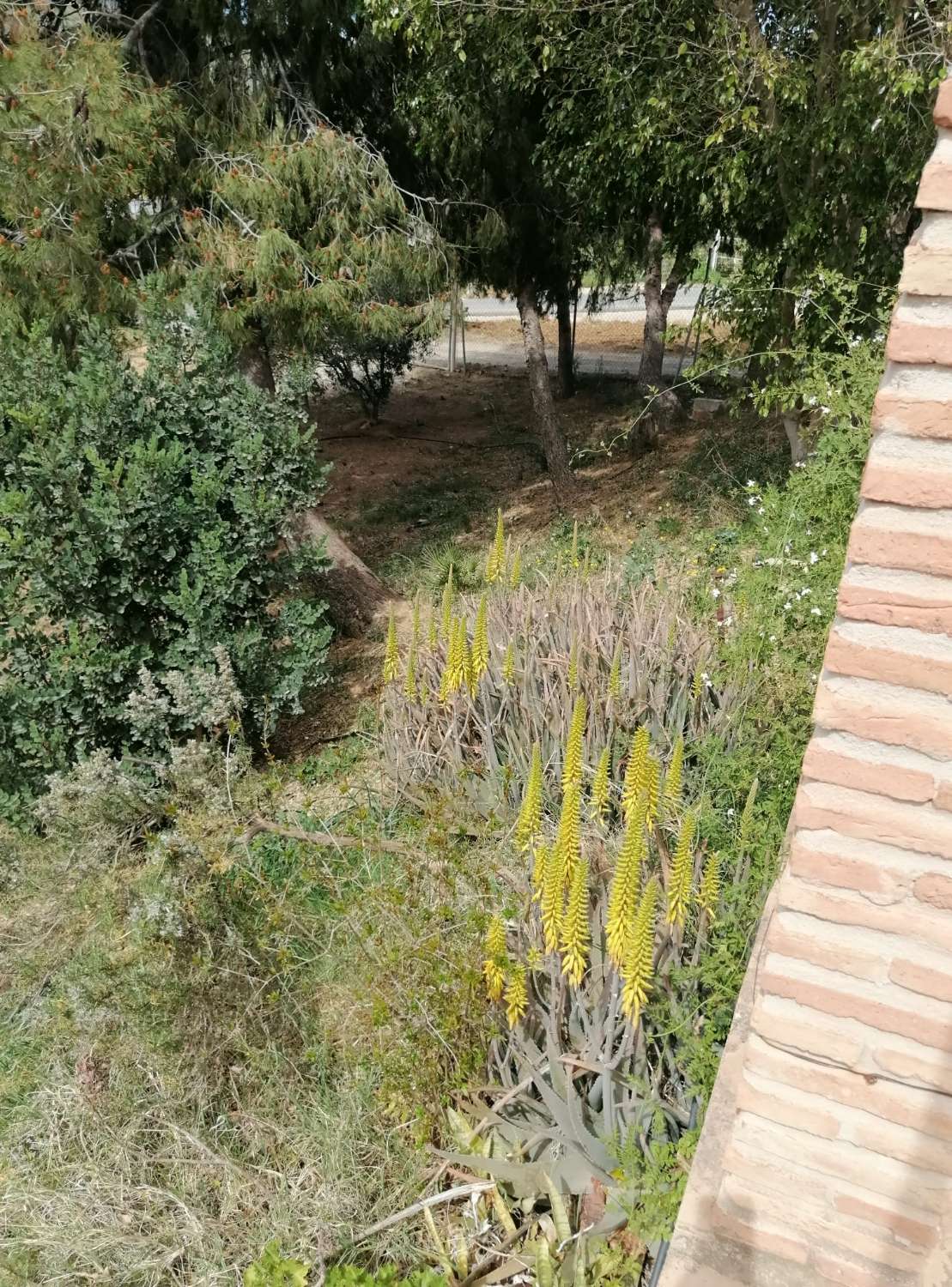 Coqueta Finca con maravillosas Vistas