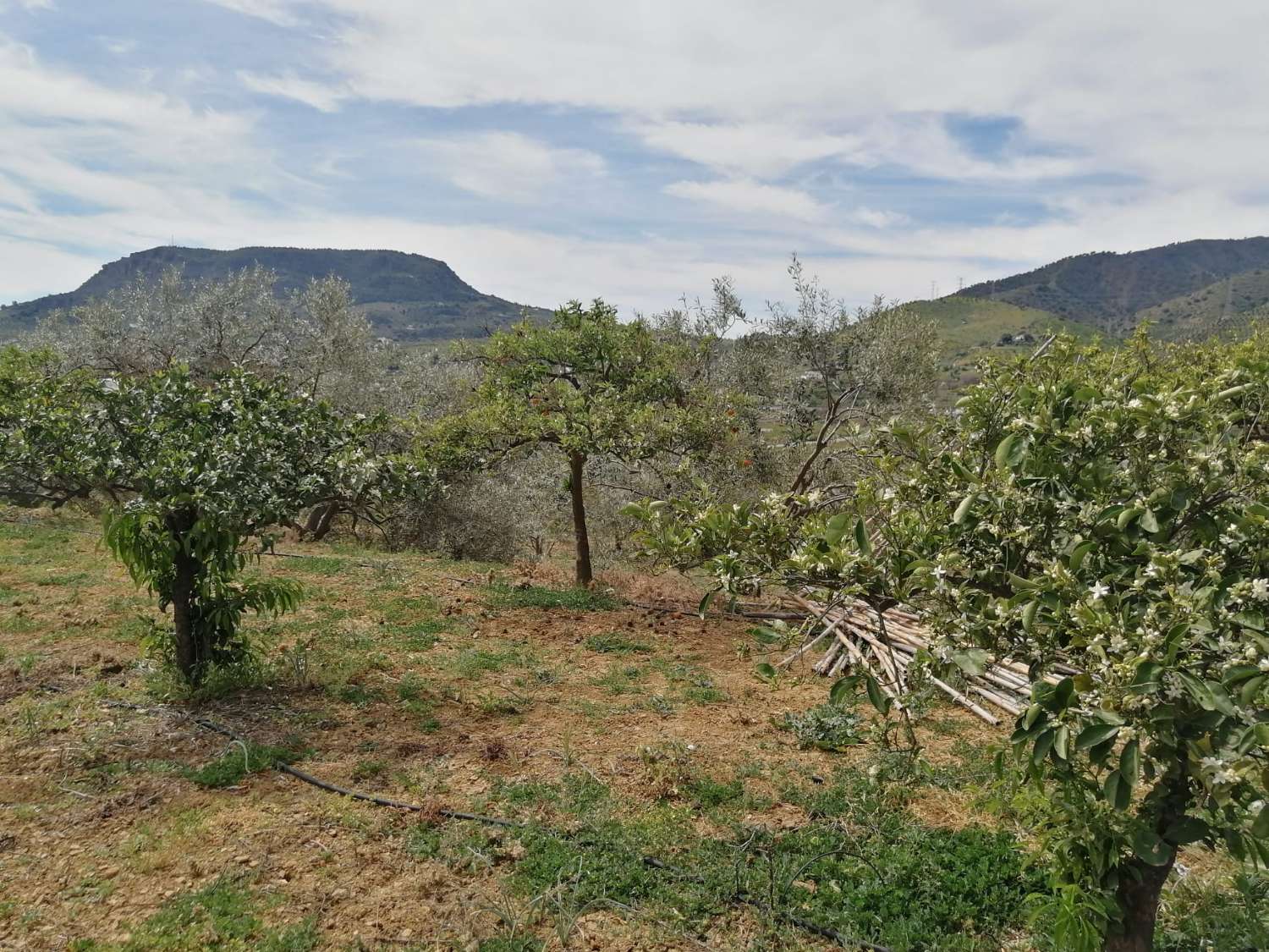 Gemütliche Finca mit herrlicher Aussicht