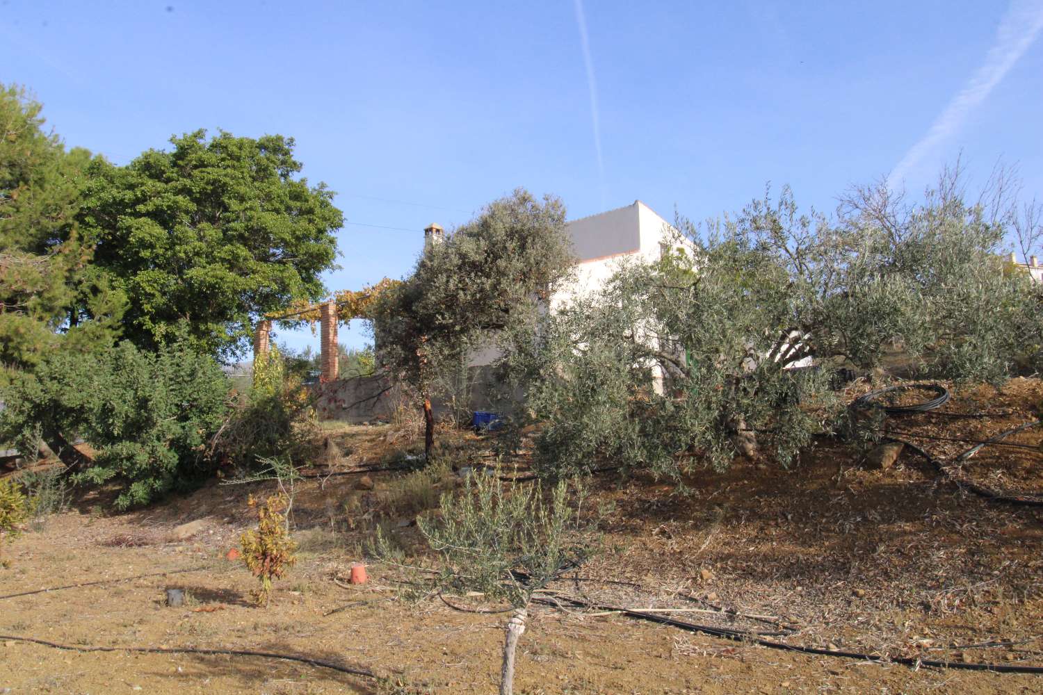 Coqueta Finca con maravillosas Vistas