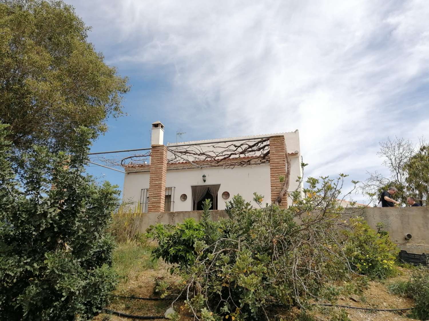 Cozy Finca with wonderful views