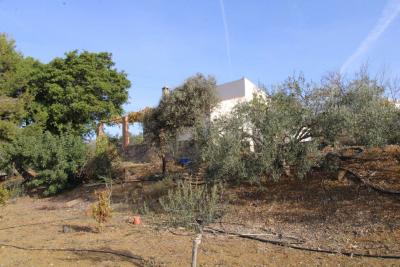 Finca en venta en Álora