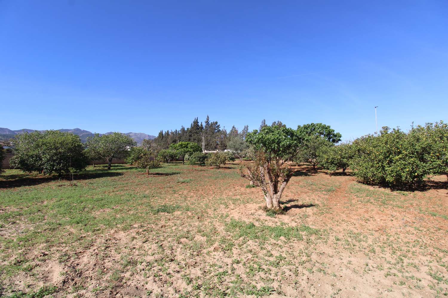 Country Property en venda in Alhaurín de la Torre