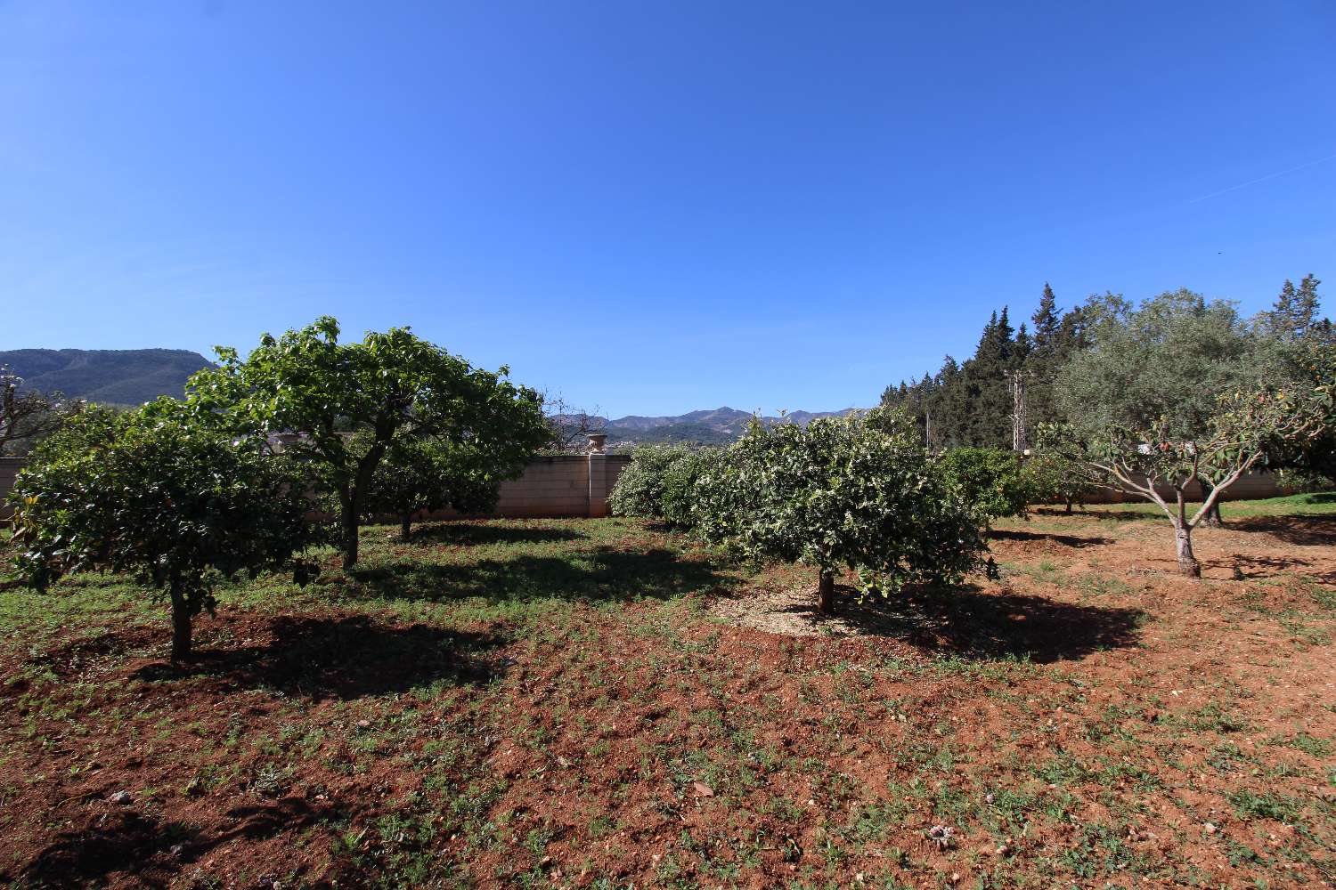 Appezzamento in vendita a Alhaurín de la Torre