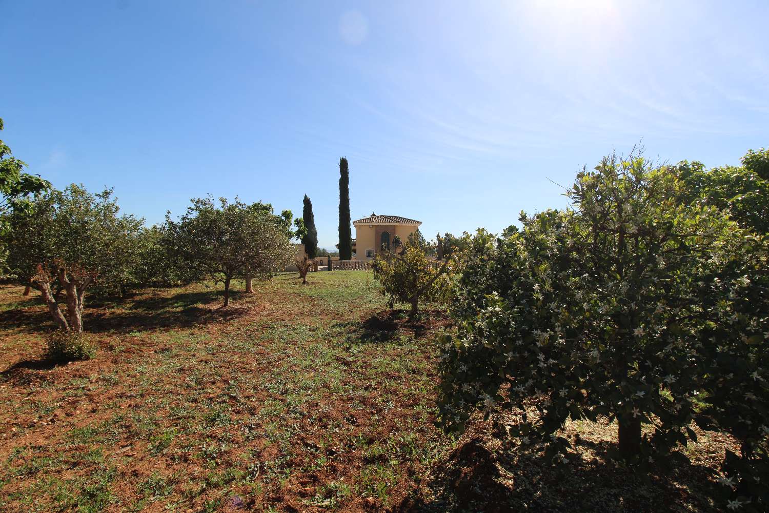 Country Property salgai in Alhaurín de la Torre