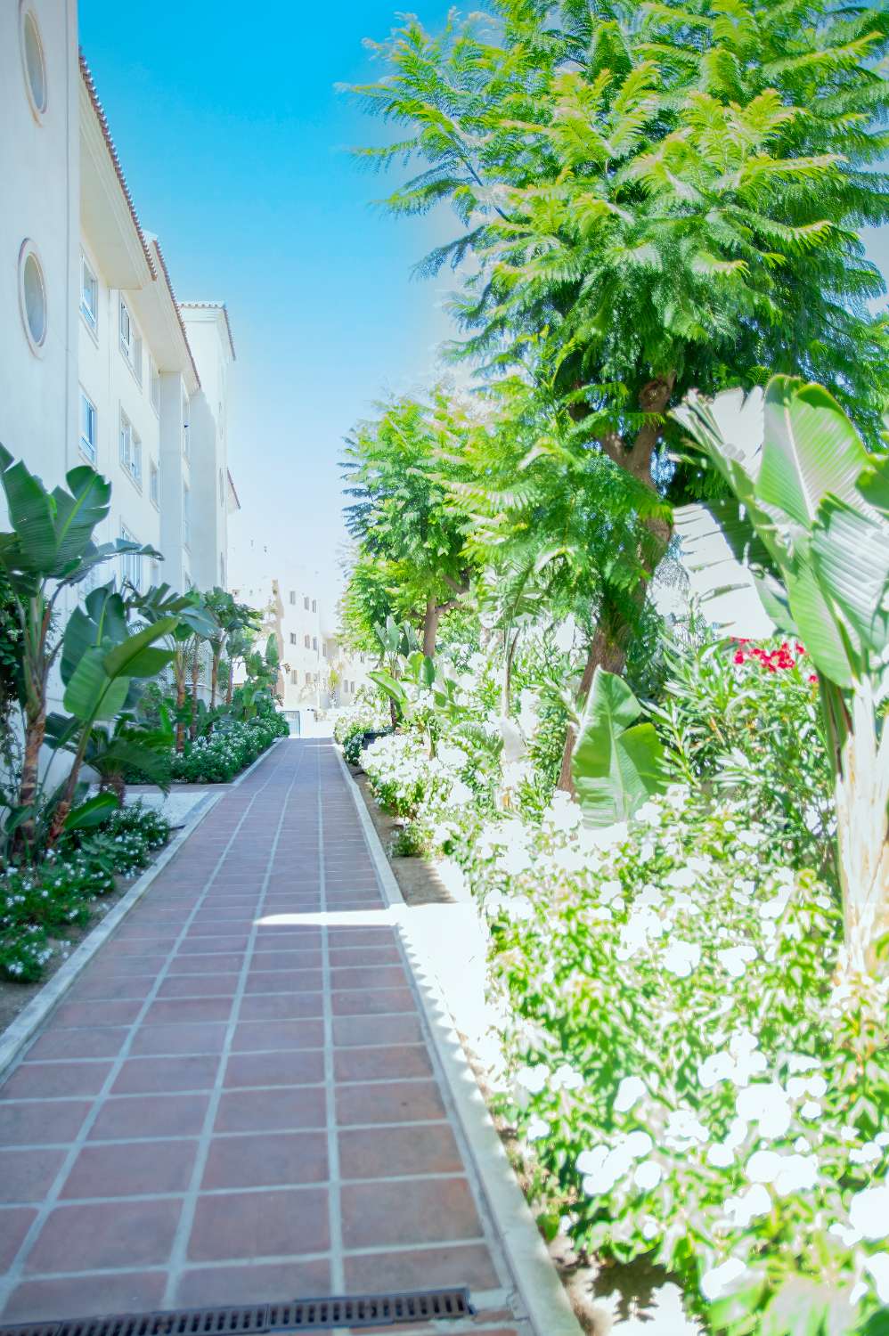 Penthouse/duplex located in Torremolinos