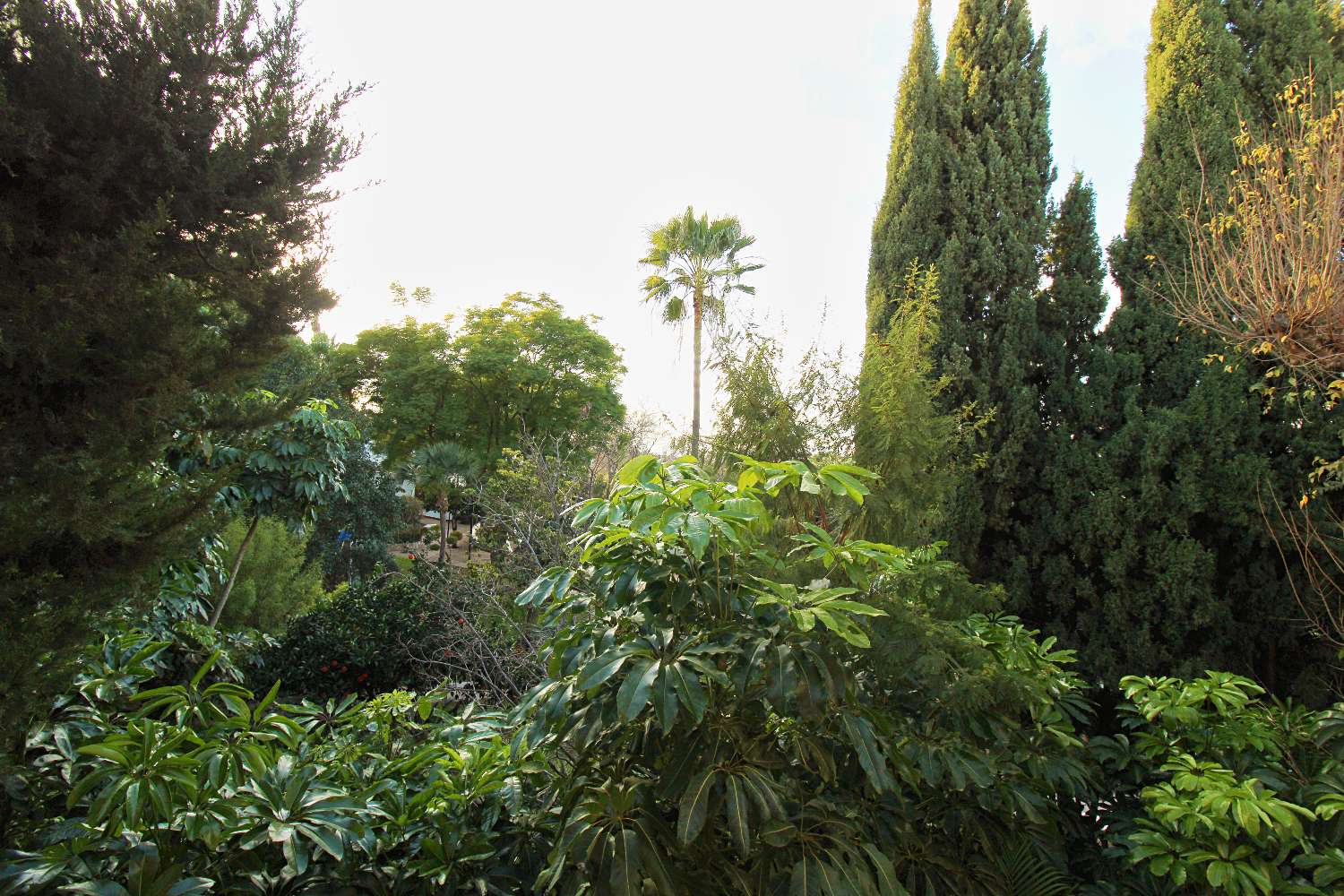 квартира в продаже в Alhaurín de la Torre