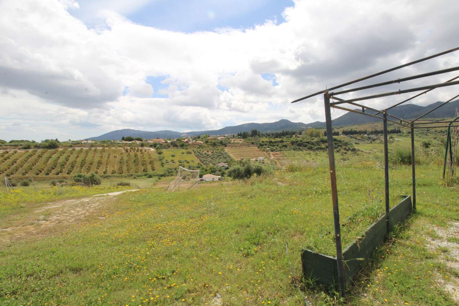 Finca en Arroyo Hondo