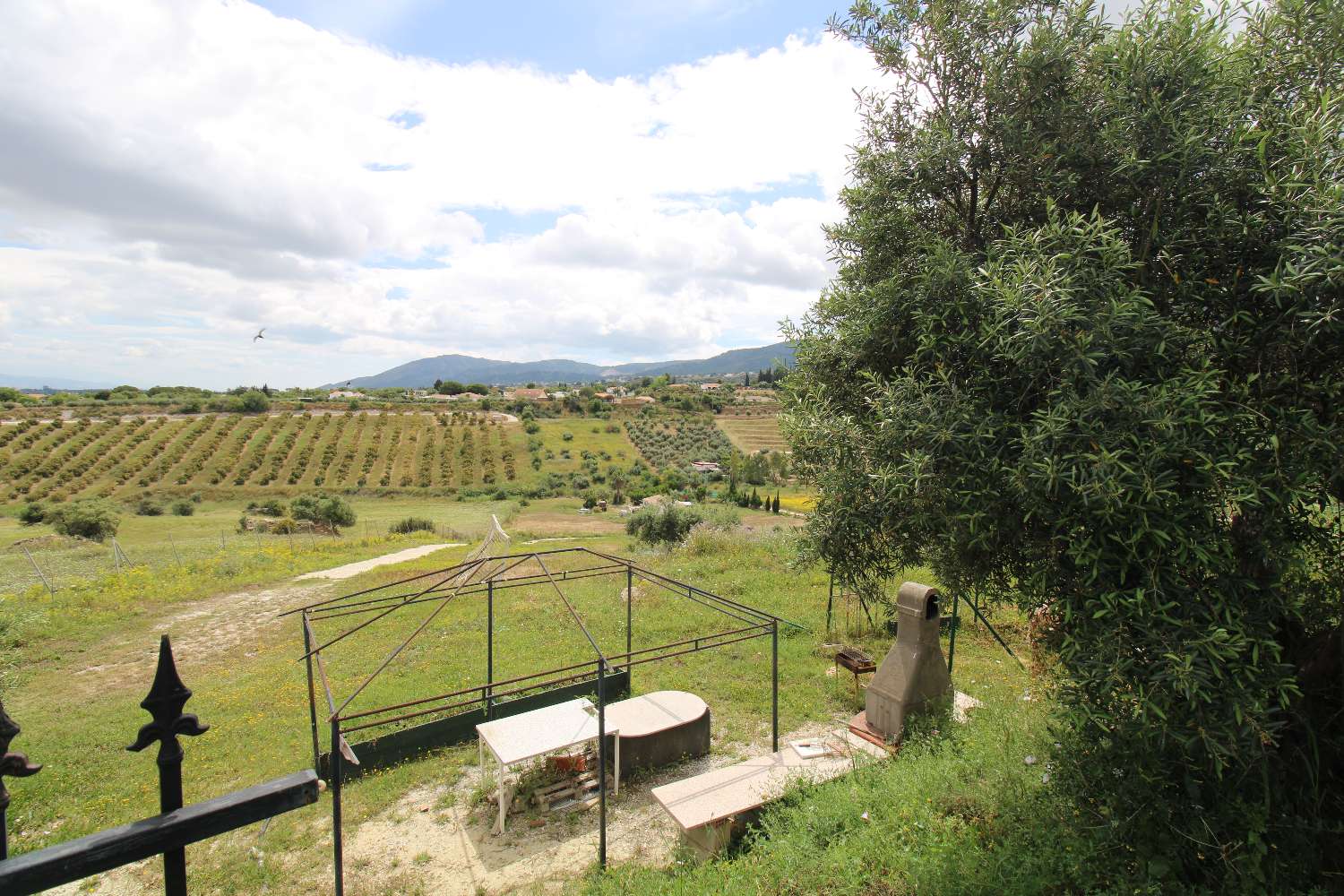 Finca en Arroyo Hondo