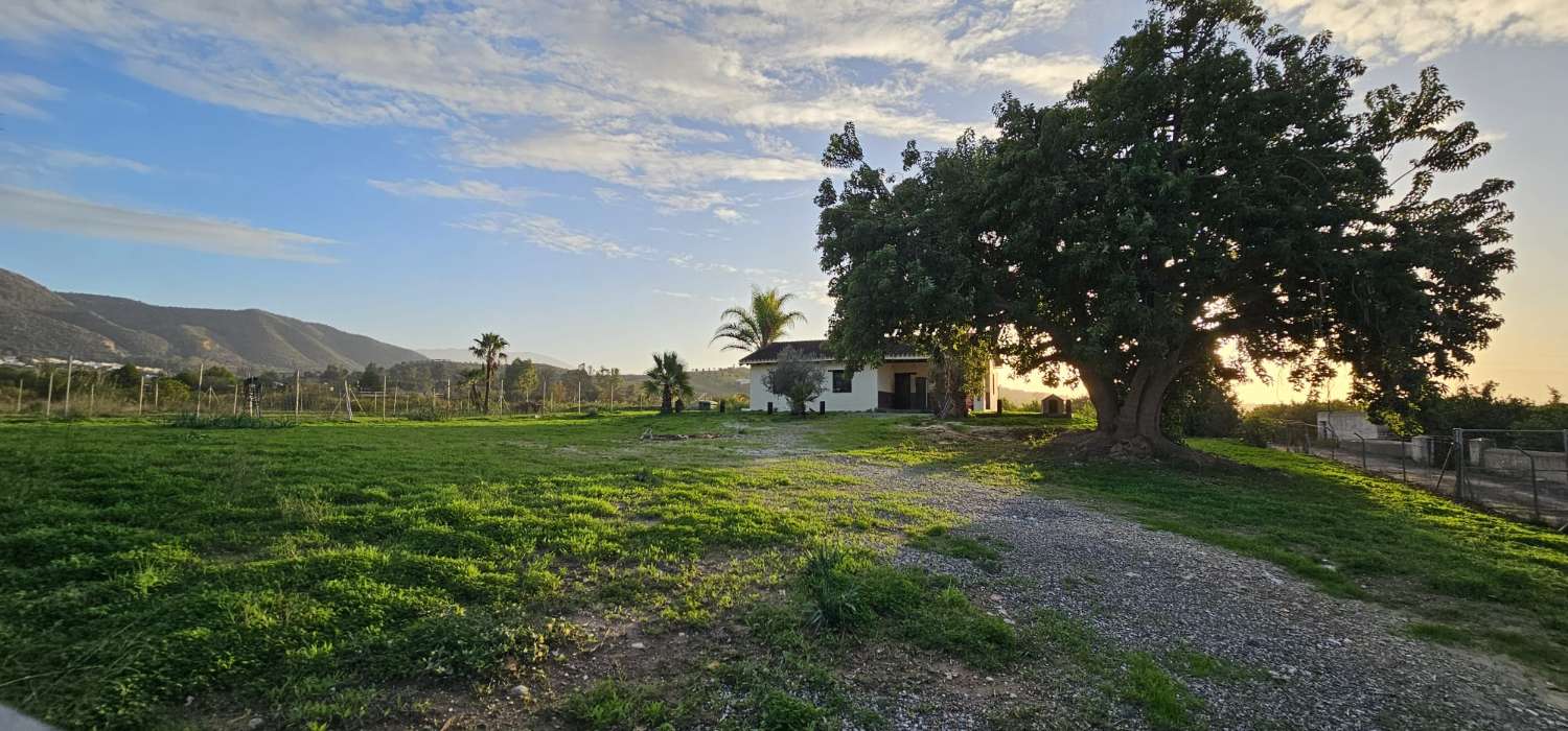 Finca con casa en alquiler en Cártama