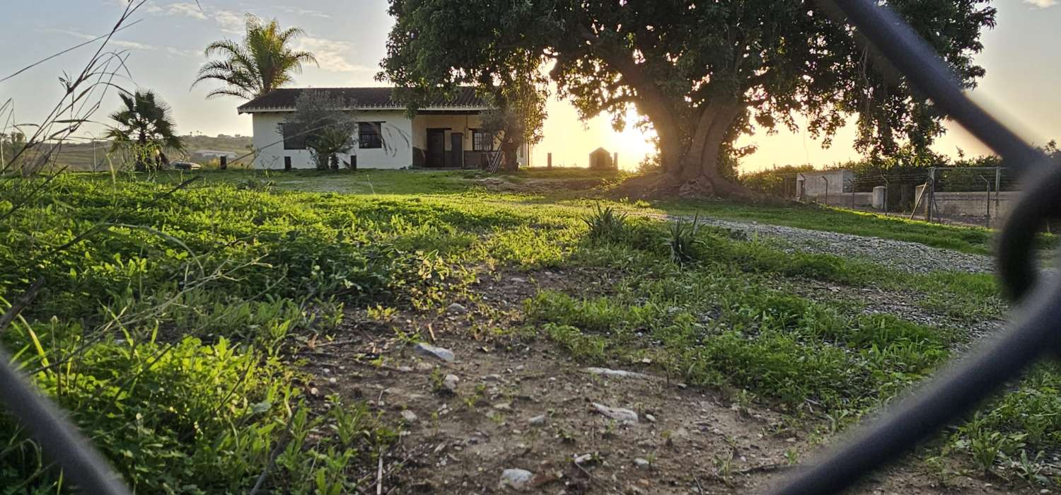 Finca con casa en alquiler en Cártama