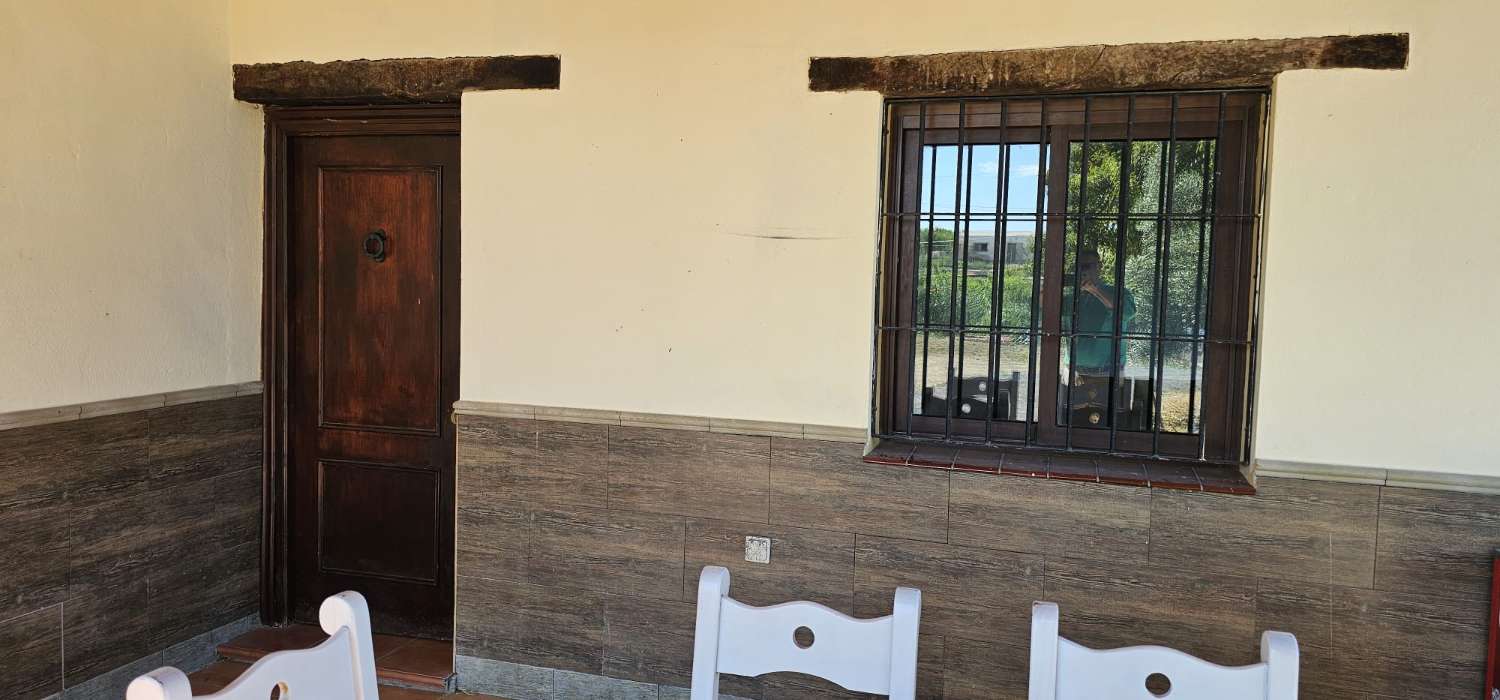 Finca con casa en alquiler en Cártama