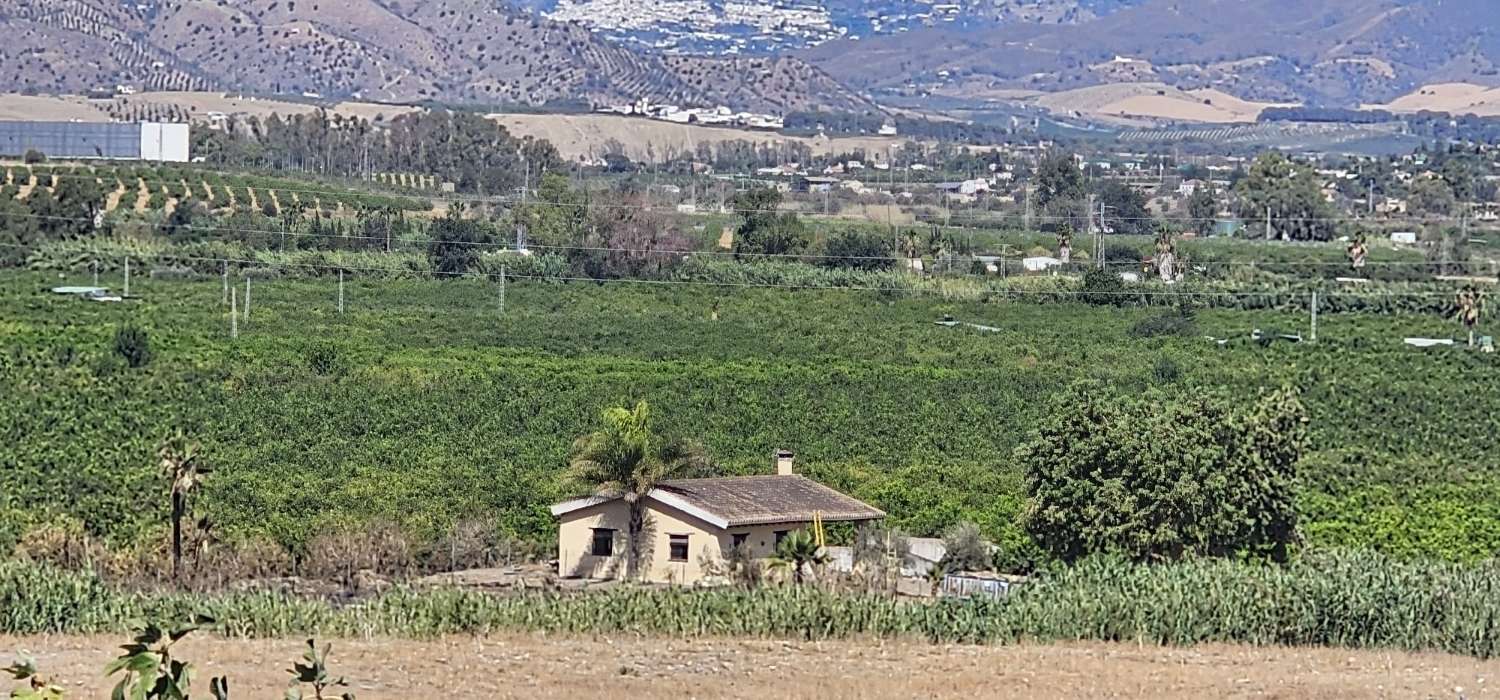 Finca con casa en alquiler en Cártama