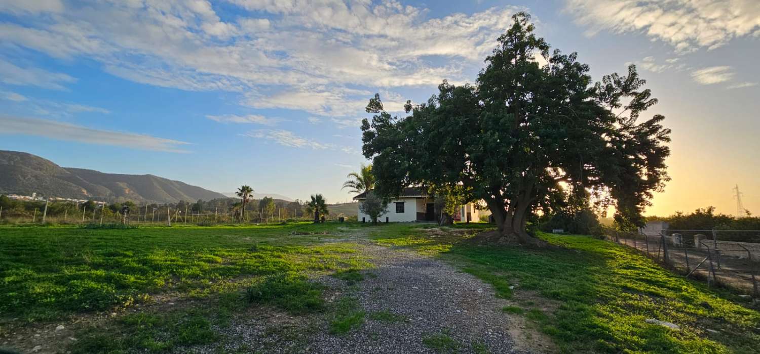 Finca con casa en alquiler en Cártama