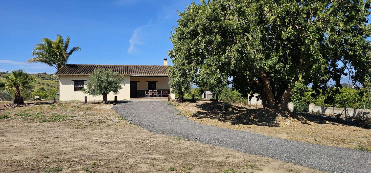 Finca con casa en alquiler en Cártama