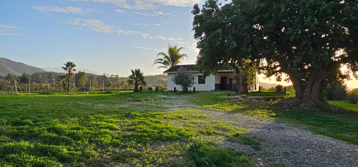 Finca con casa en alquiler en Cártama