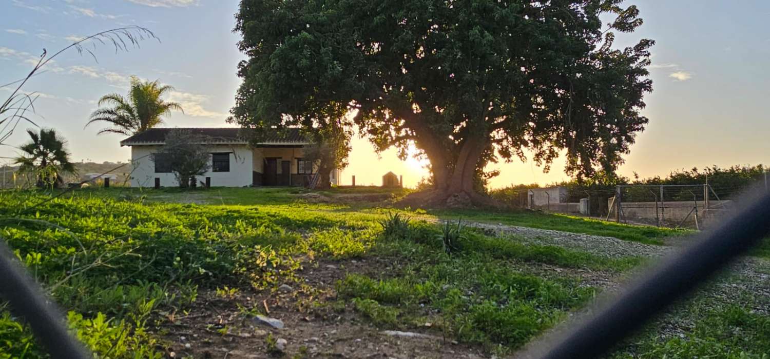 Finca con casa en alquiler en Cártama
