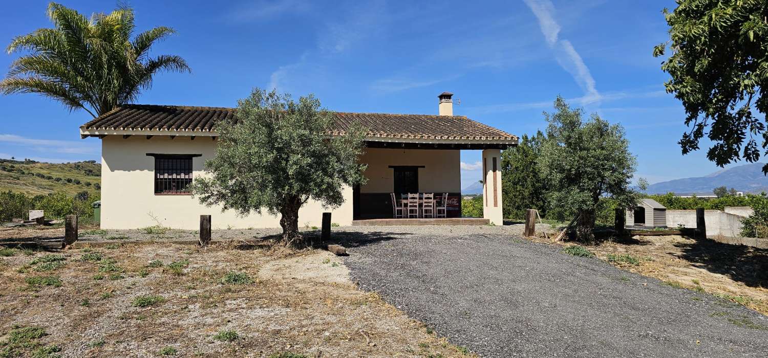 Finca con casa en alquiler en Cártama