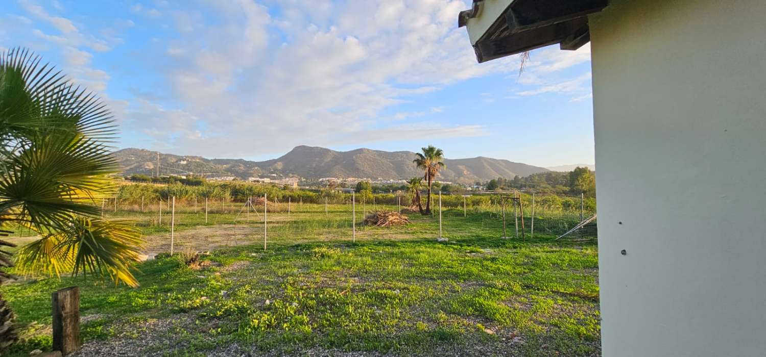 Finca con casa en alquiler en Cártama