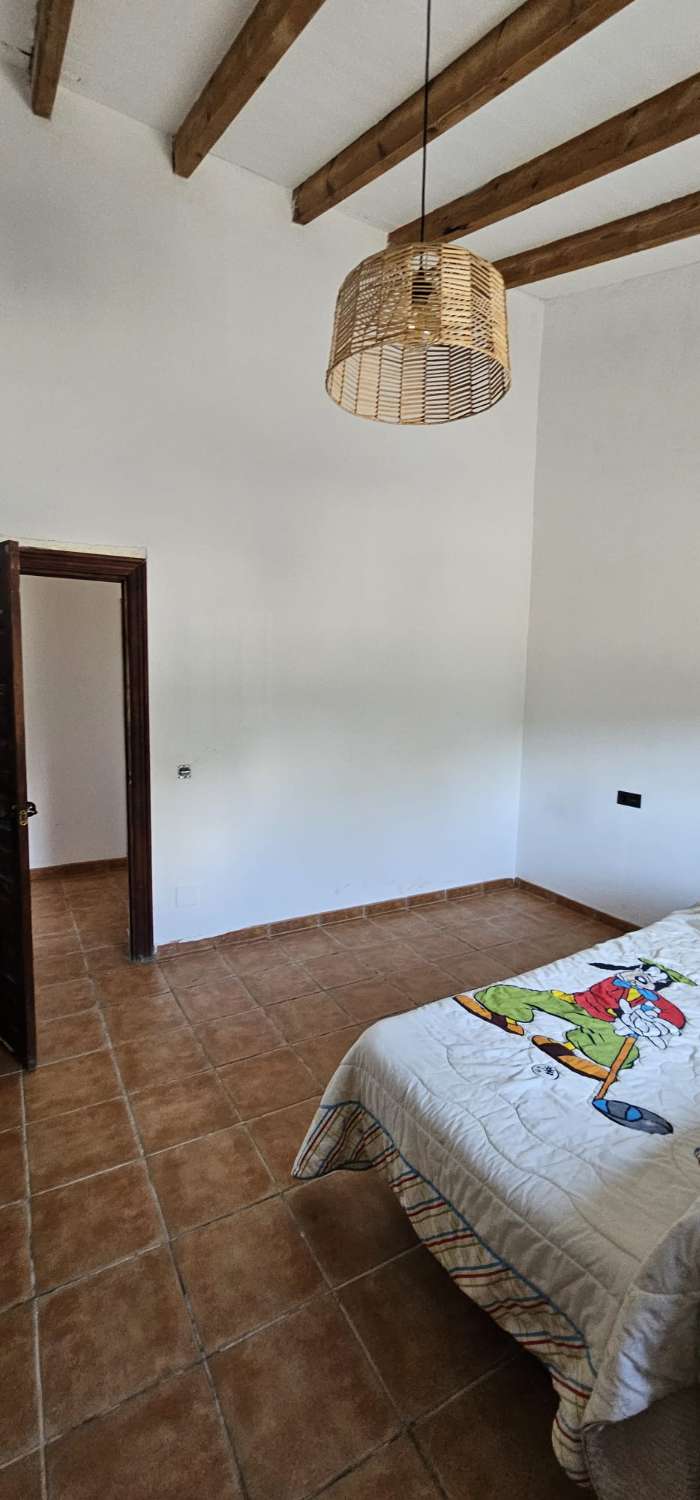 Finca con casa en alquiler en Cártama