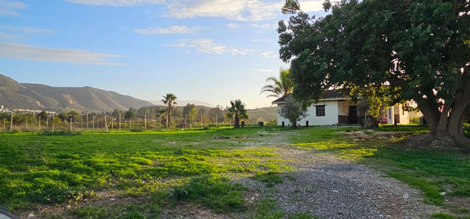 Finca con casa en alquiler en Cártama