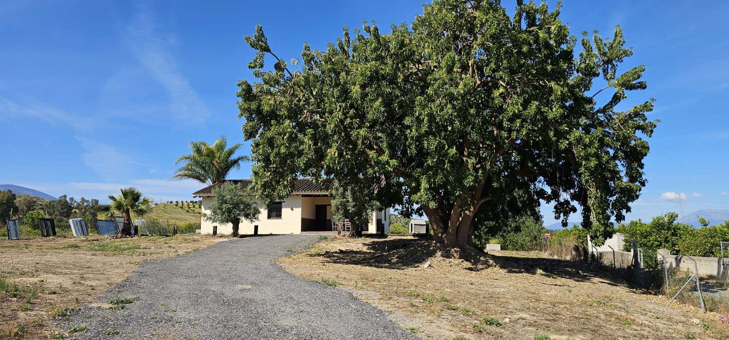 Finca con casa en alquiler en Cártama
