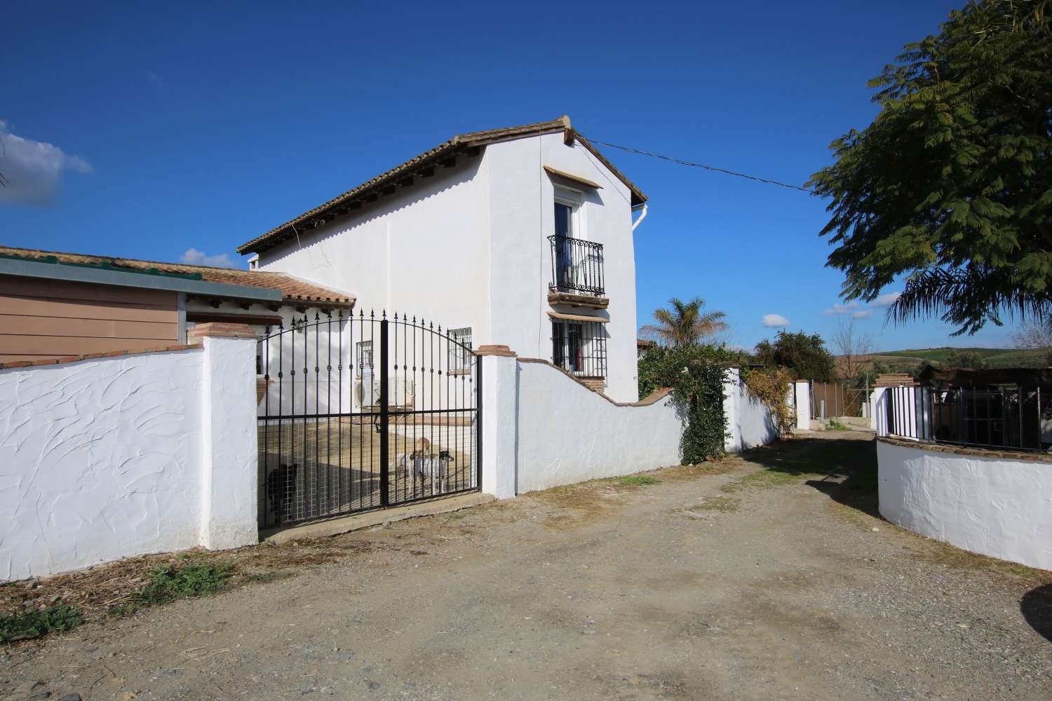 Maravillosa finca ecuestre ubicada en Coín