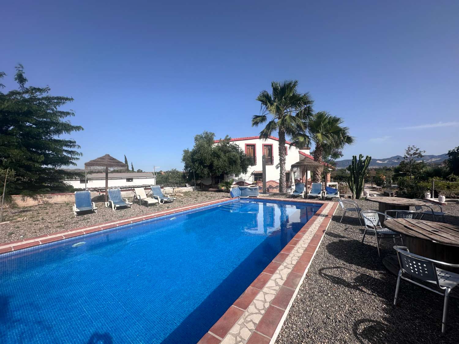 Impresionante finca en alquiler ubicada en Santa Rosalía.