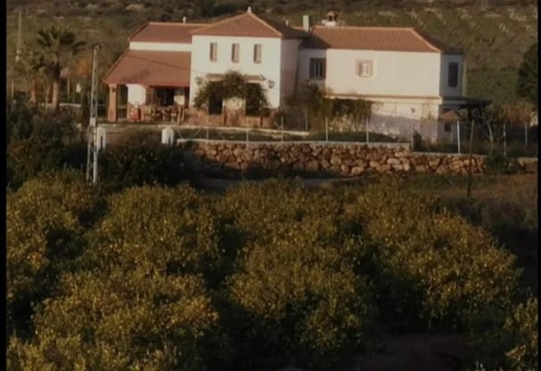 Impresionante finca en alquiler ubicada en Santa Rosalía.