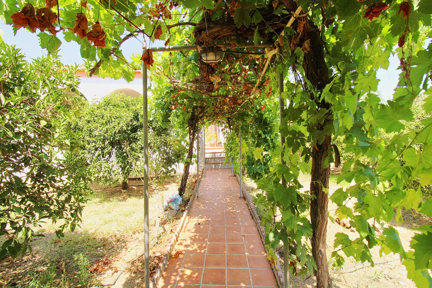 Country Property for sale in Alhaurín de la Torre