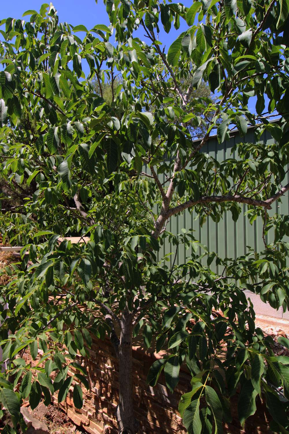 Villa Independiente con Gran Parcela y Encanto Natural en Pinos de Alhaurín