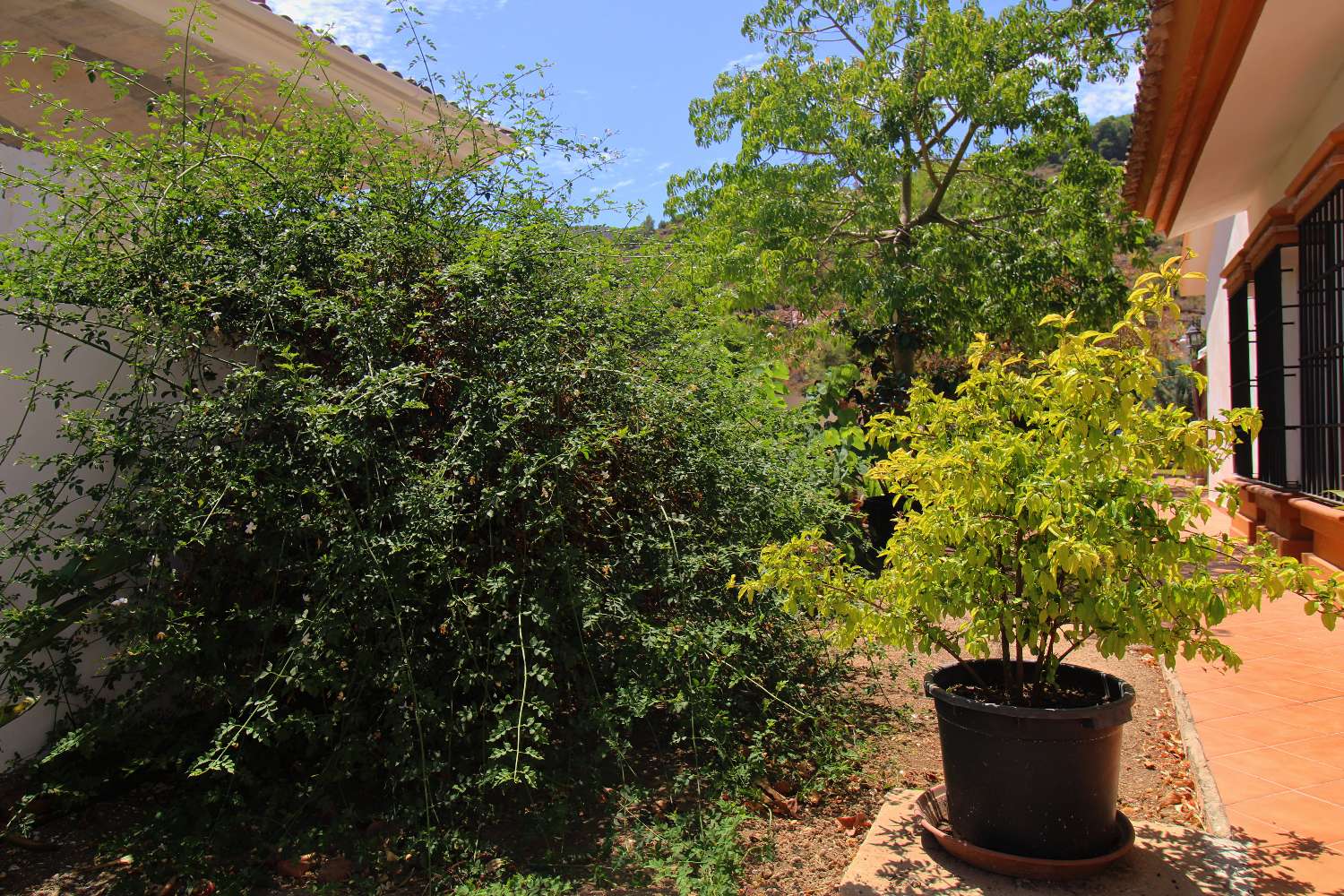 Villa Independiente con Gran Parcela y Encanto Natural en Pinos de Alhaurín