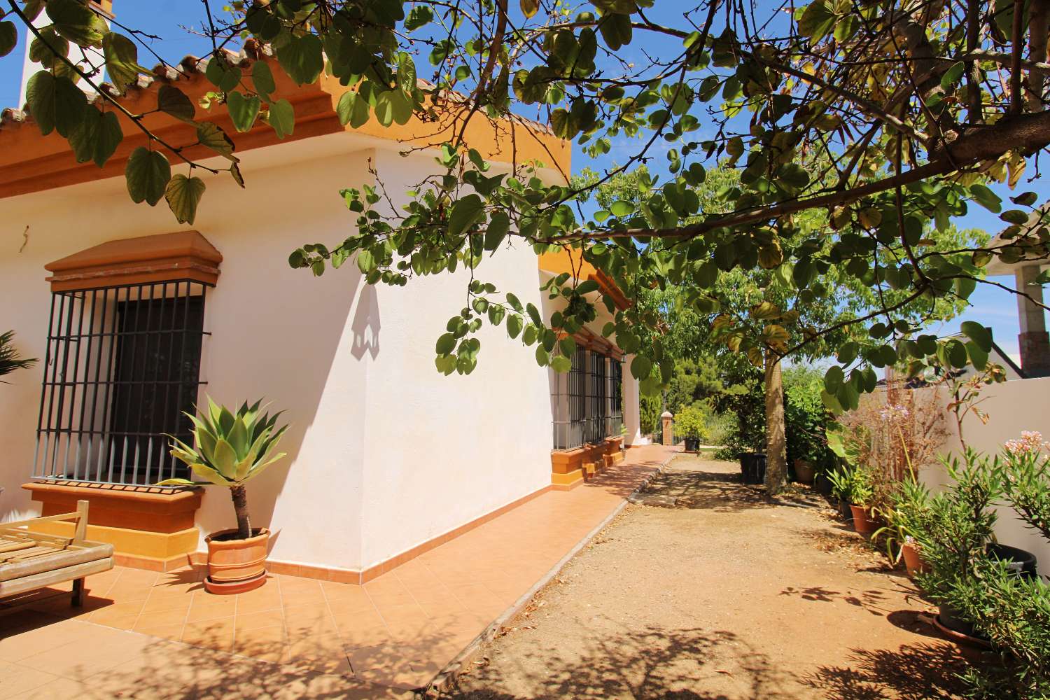 Villa Independiente con Gran Parcela y Encanto Natural en Pinos de Alhaurín