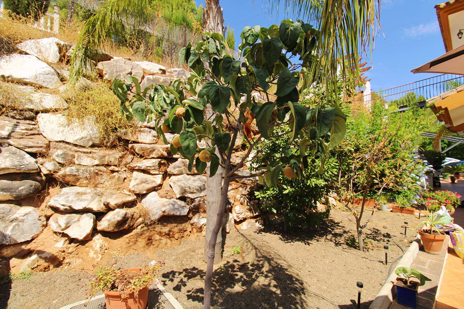 Villa Independiente con Gran Parcela y Encanto Natural en Pinos de Alhaurín