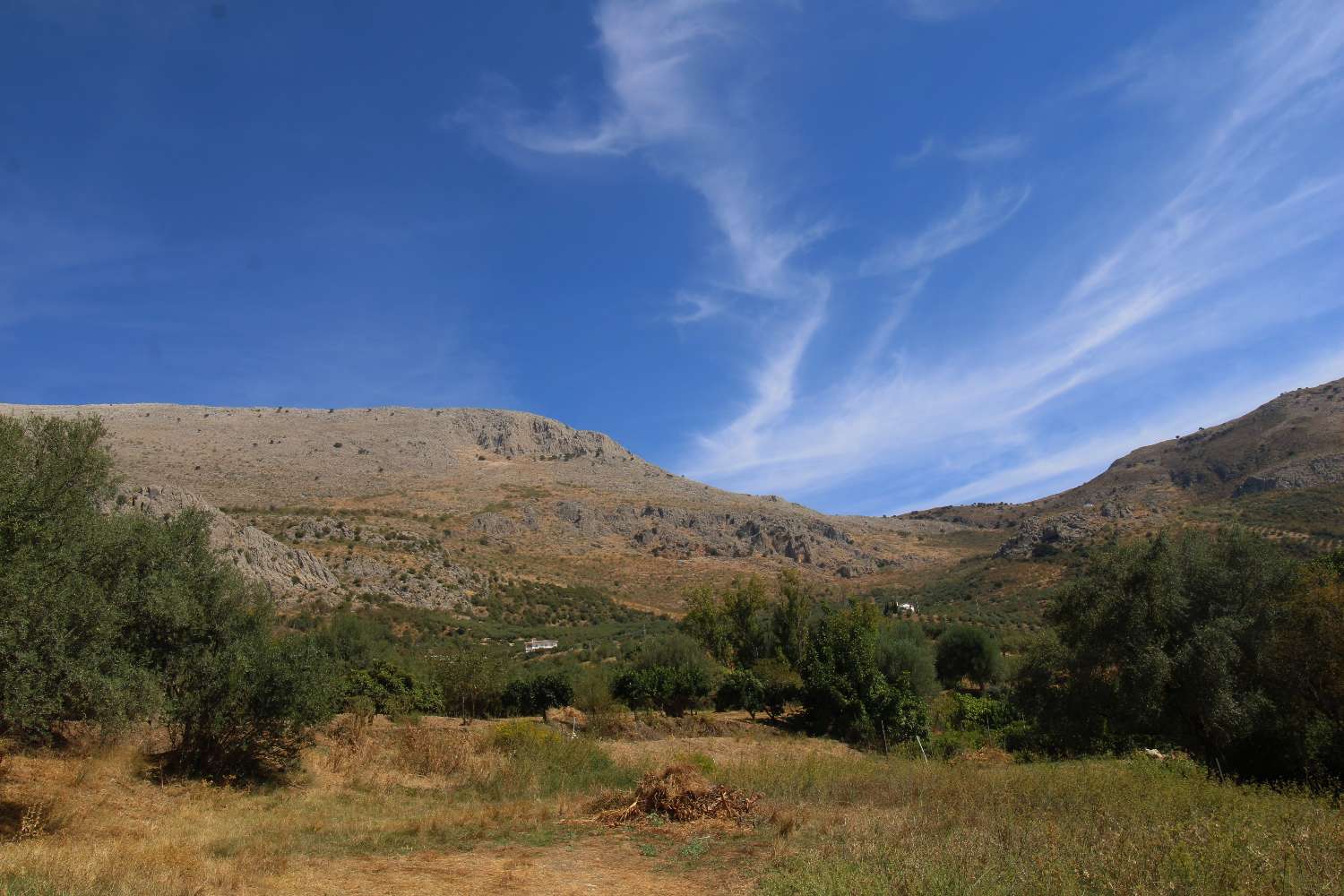Rural house with tourist license, swimming pool and large plot in Periana