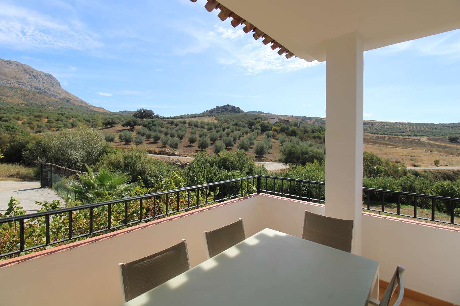 Rural house with tourist license, swimming pool and large plot in Periana