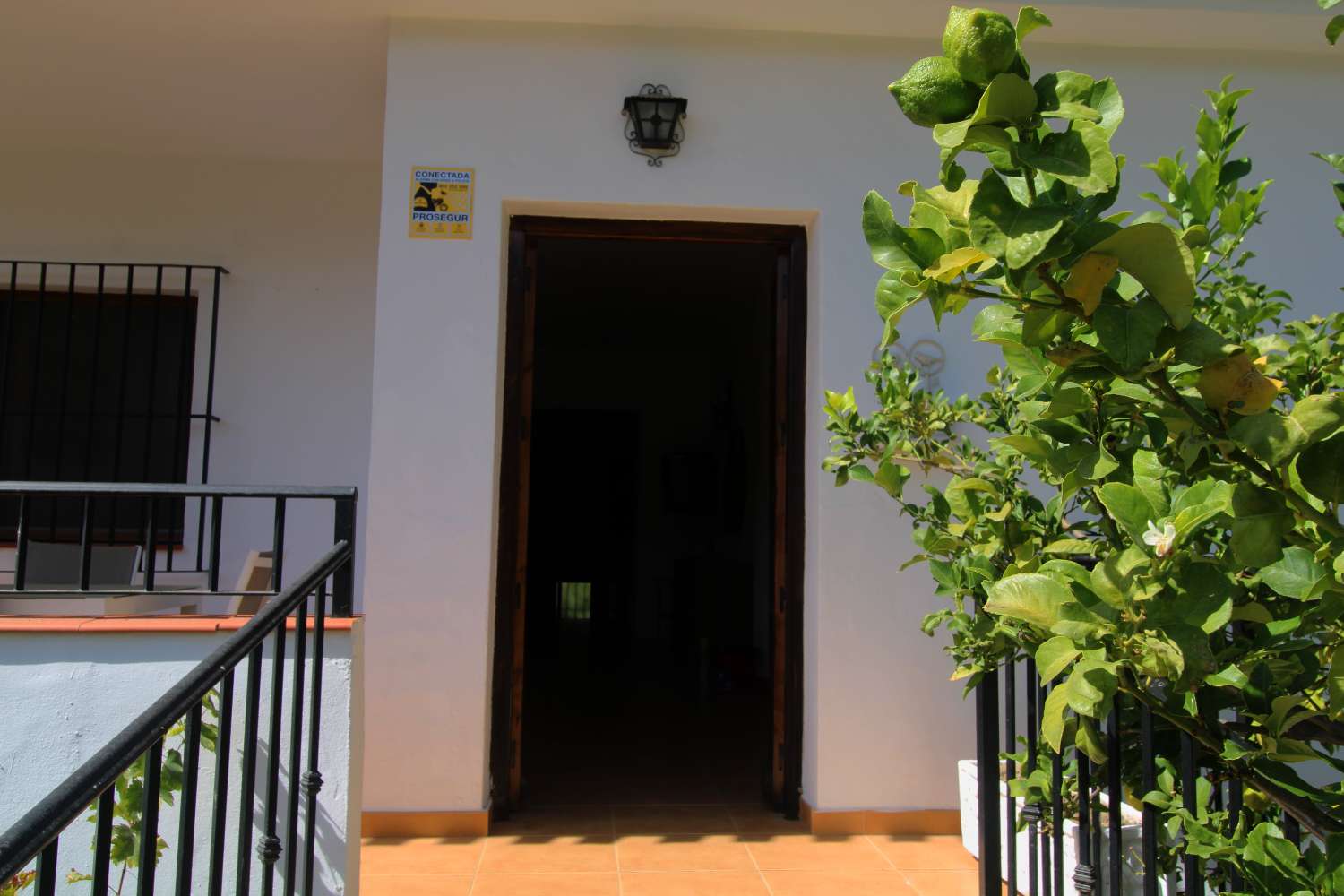 Rural house with tourist license, swimming pool and large plot in Periana