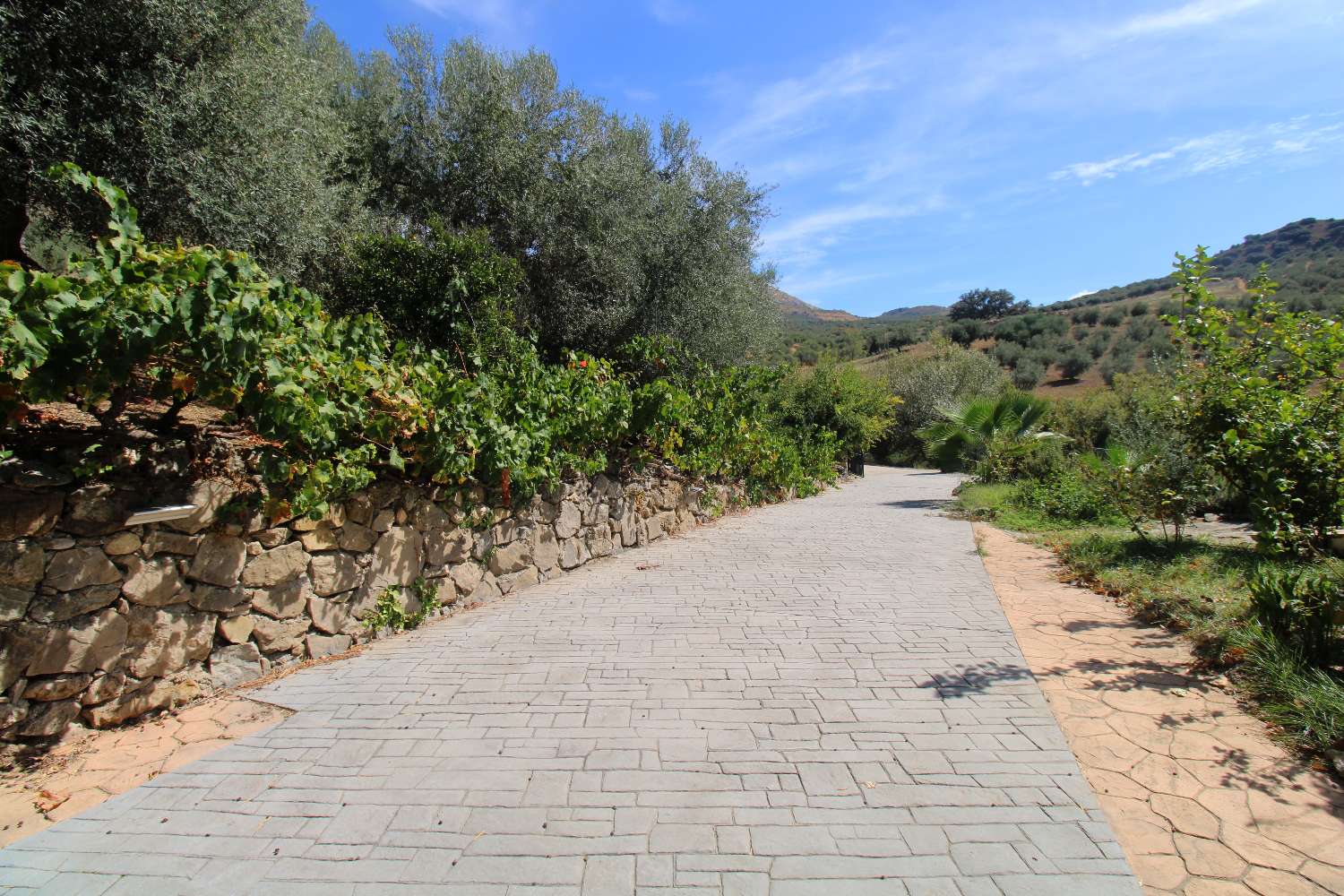 Rural house with tourist license, swimming pool and large plot in Periana