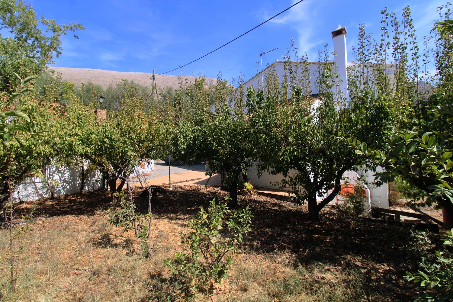 Rural house with tourist license, swimming pool and large plot in Periana