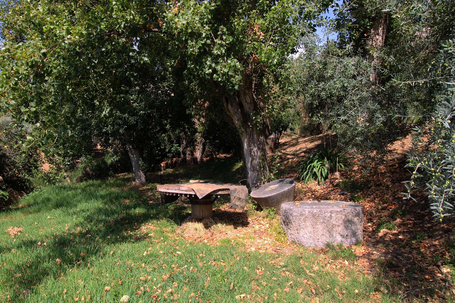 Rural house with tourist license, swimming pool and large plot in Periana