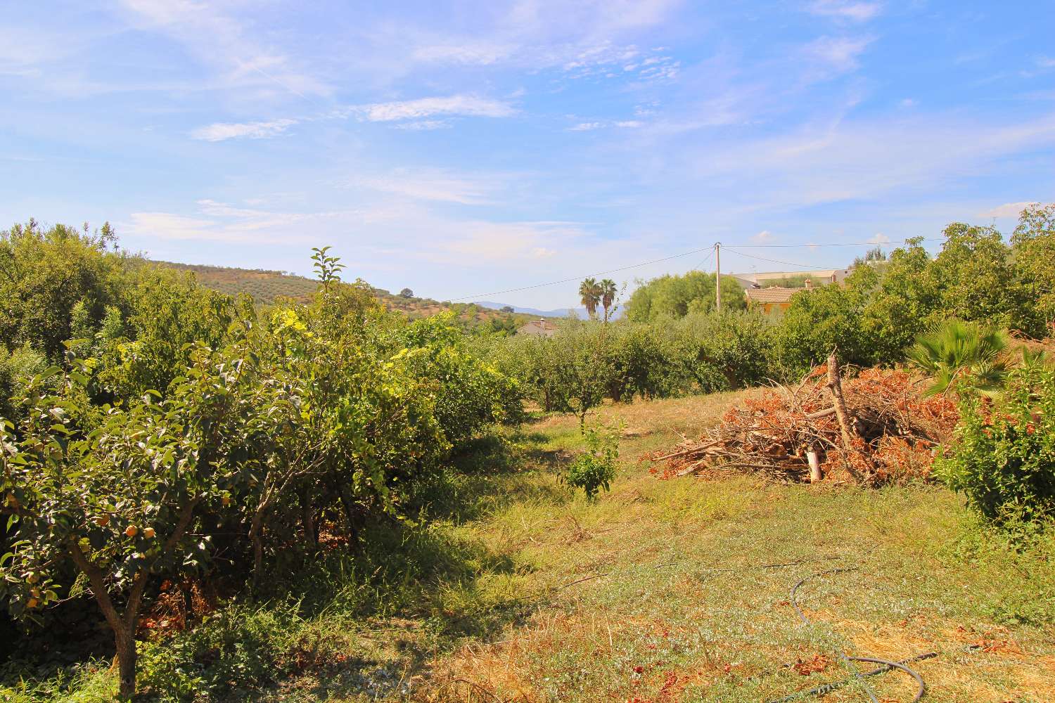 Rural house with tourist license, swimming pool and large plot in Periana
