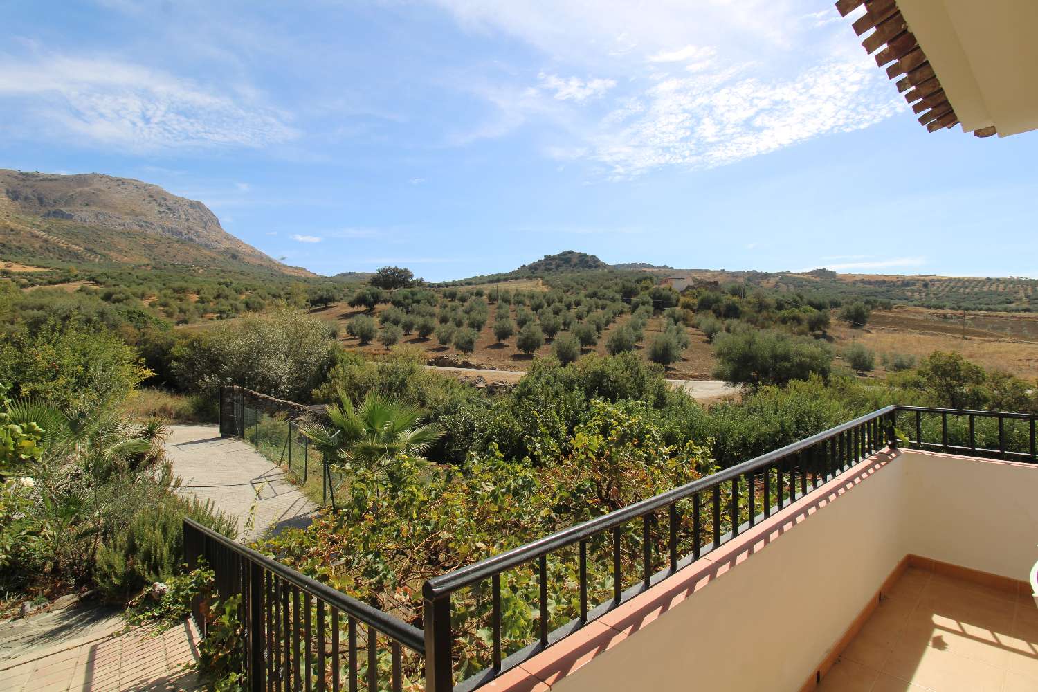Rural house with tourist license, swimming pool and large plot in Periana