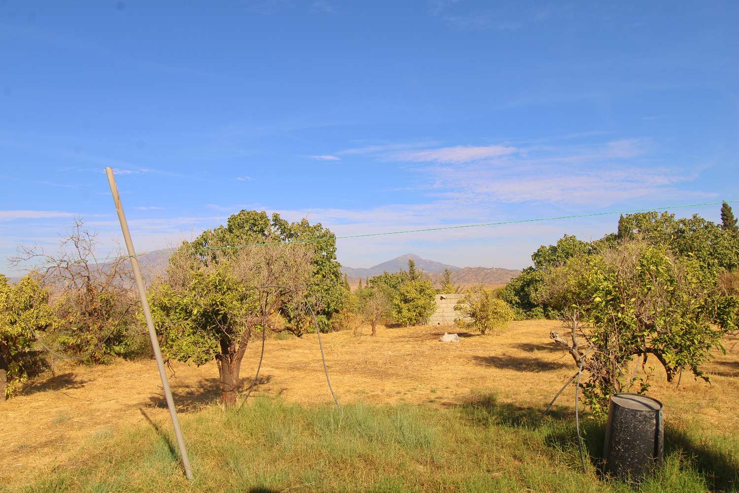 Domain en location à Cártama
