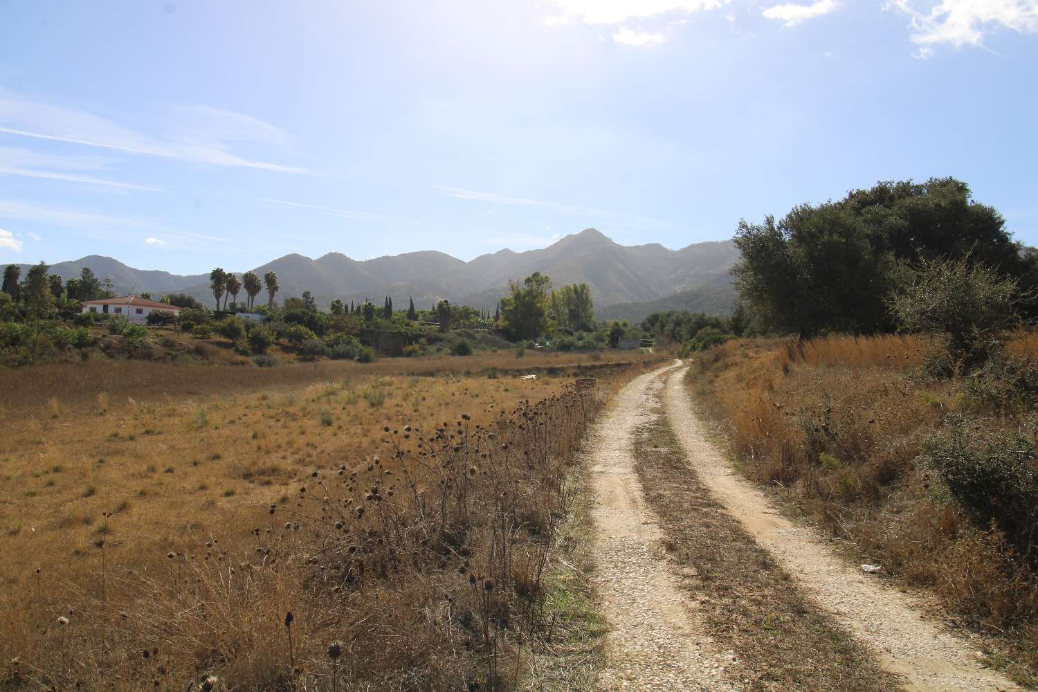 Terrain plat et rustique