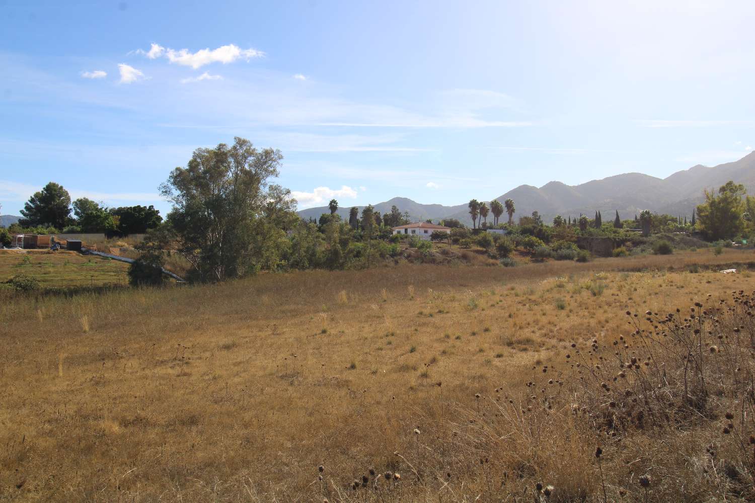 Terrain plat et rustique